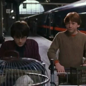 Platform 9¾