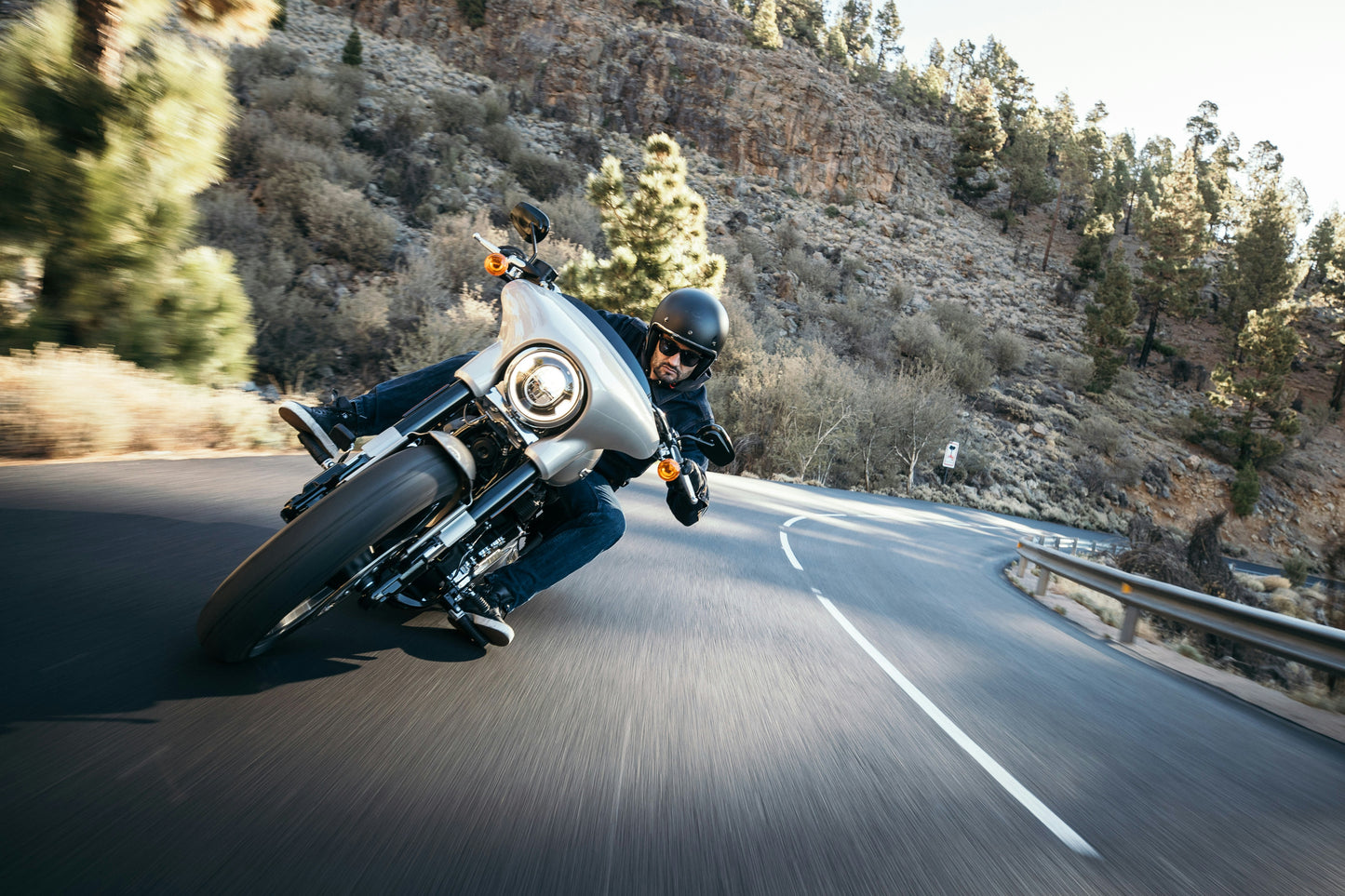 Harley Davidson